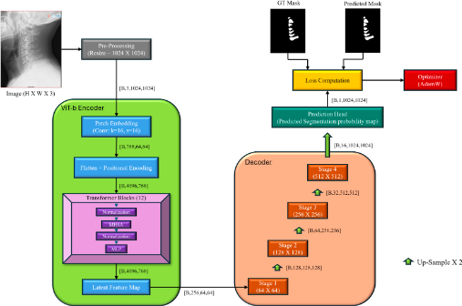 CervSpineNet segmentation